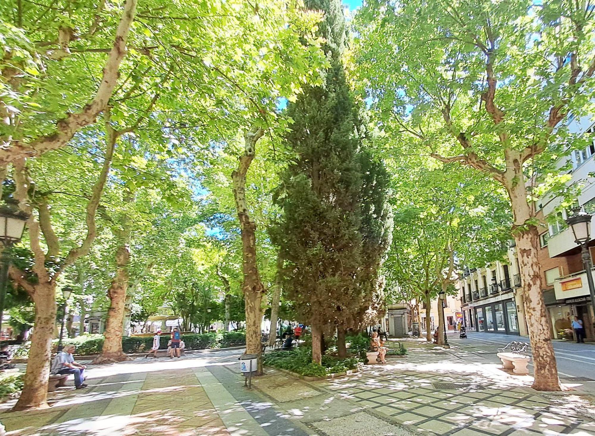 Apartasuite Centro Historico Atico Tranquilo Y Luminoso En El Corazon De Granada Exteriér fotografie